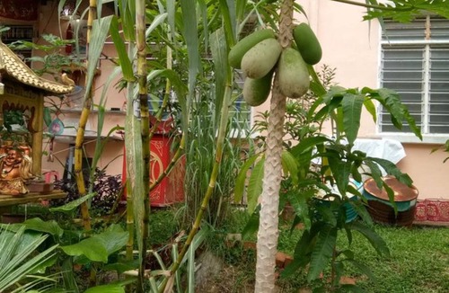 Bukit Tinggi Apartment | Genting Bukit Tinggi Homestay