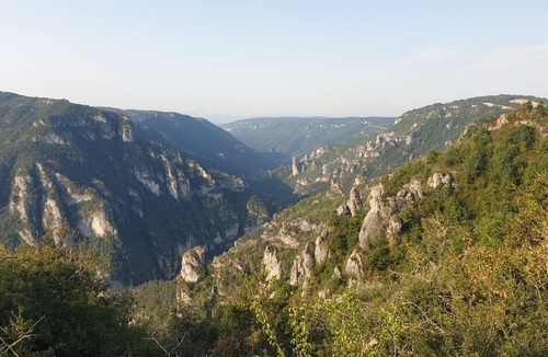 Saint-Georges-de-Levejac Cabin | Genuine gypsy caravan in the Tarn gorges