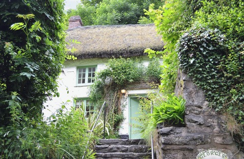 Bucks Mills Cottage | George's Cottage - HSSS