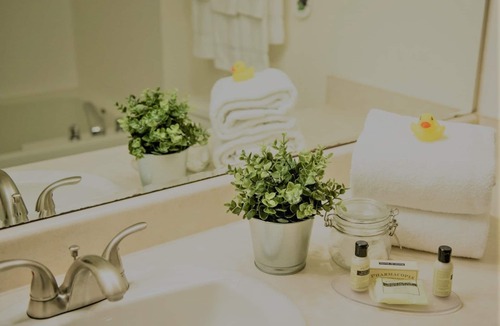 Georgetown Hotel | Georgetown Inn