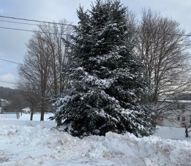 Windham House | Georgian Garden
