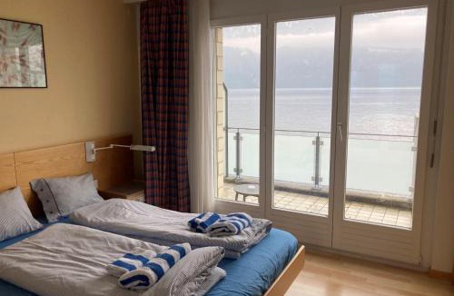 Gersau Hotel | Gersau Hotel Fähri