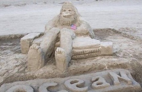 Ocean Shores Other | Get Away and Get Wet! Free Parking, w/ Pool