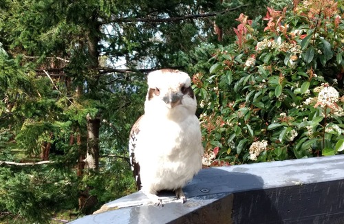 Kennett River House | Get Away from it all at Kennett River