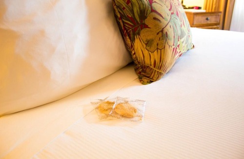 Volcano Hotel | Get Ready for Blissful Getaway! Two Comfy Units for 4! Free Parking!