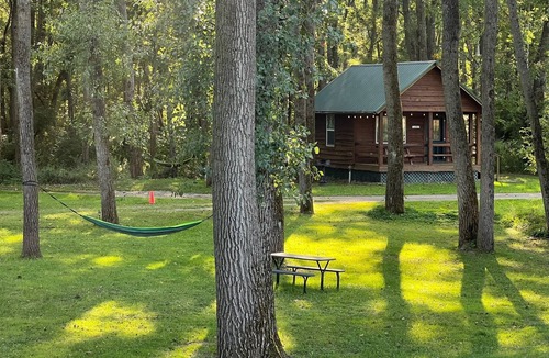 Belfast Cabin | :)Getaway Forest Bathin & Fireside Chats | 4 CQB | Sleep8 #1