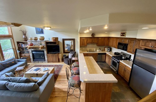 Mount Crested Butte House | Getaway in CB @ this 3 bedroom Treasury Point Condo, Best Views! Common Hot Tub