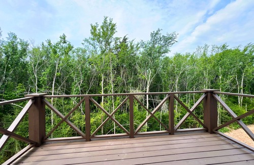 Wellborn Apartment | Getaway in the Woods - 2-Bed/1 Bath Apartment Near Texas A&M