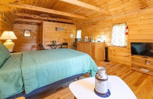 Williamstown Ski Chalet | GGgs Cabin