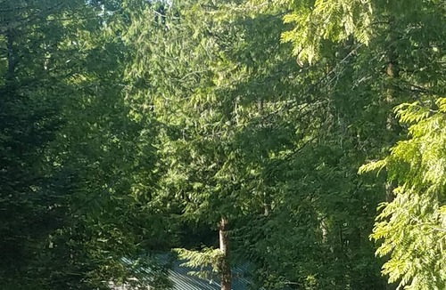 Sequim Cabin | Ghost Owl Retreat