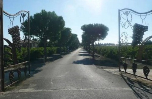 Saint-Laurent-de-la-Salanque Cottage | Gite 2 in the heart of 6 hectares of vineyard - Saint-Laurent-de-la-Salanque
