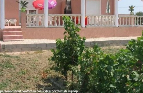 Saint-Laurent-de-la-Salanque Cottage | Gite 2 in the heart of 6 hectares of vineyard - Saint-Laurent-de-la-Salanque