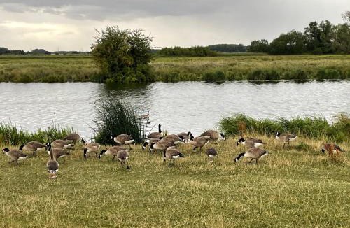 Littleport House | Gilead Grace House