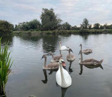 Littleport House | Gilead Grace House