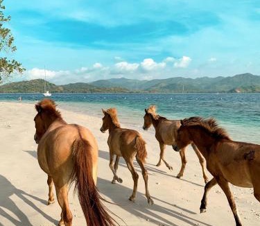 P. Gili Asahan Resort | Gili Asahan Eco Lodge & Restaurant