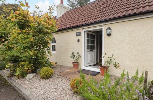 Mey House | Gingerbread House