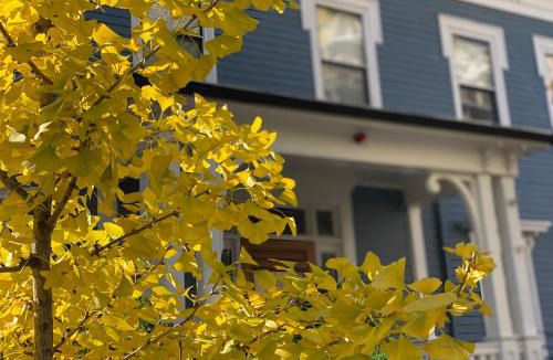 Central Square Hotel | Ginkgo House on Harvard