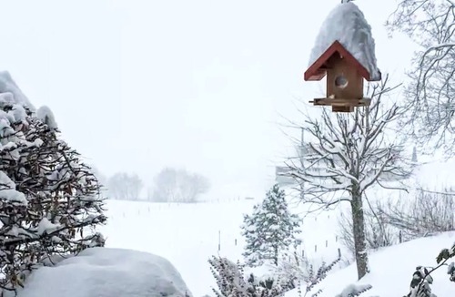 Sarnen Apartment | Giselas Mountain Retreat by Interhome
