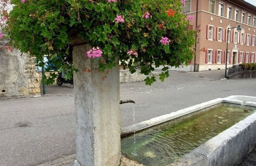 Liesberg Apartment | Giselas Ruheplatz by Interhome