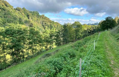 Gez-ez-Angles Ski Chalet | Gite à la Ferme