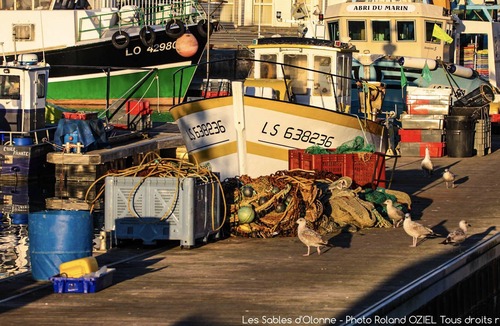 Olonne-sur-Mer Cottage | Gite 2 to 5 people Destination Les Sables D'Olonne