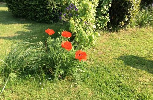 Mailly-Maillet House | Gite a la campagne