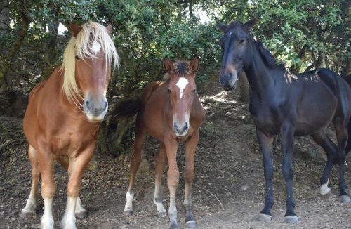 Villefloure House | Gite a la ferme avec jacuzzi et sauna