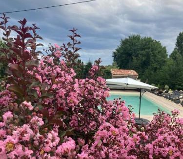 Saint-Nicolas-de-la-Grave Apartment | GITE Abeille-Soleil