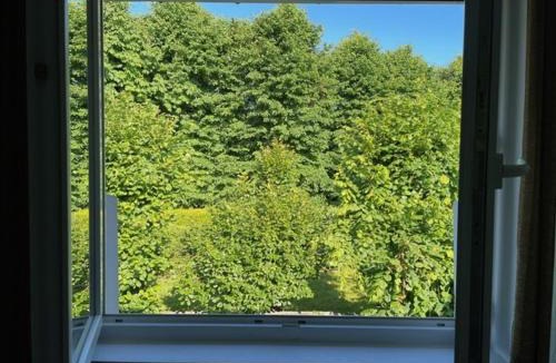 Gouville-sur-Mer House | Gite Amandine