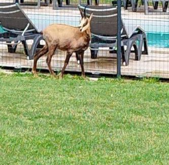 La Chatelaine Apartment | Gite Arbois 2 pièces Piscine Chauffée