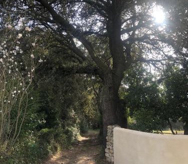 Le Pouget House | gite Au Bout du Chemin