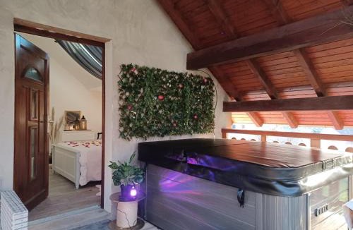 Drulingen Bed & Breakfast | Gite avec SPA privé