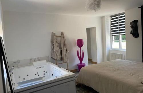 Lailly-en-Val Apartment | Gite balnéo