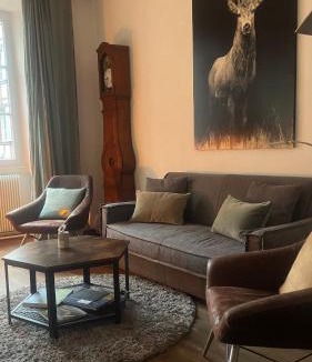 Colmar Centre Ville Apartment | Gite BI UNS chez Silvana
