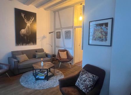 Colmar Centre Ville Apartment | Gite BI UNS chez Silvana