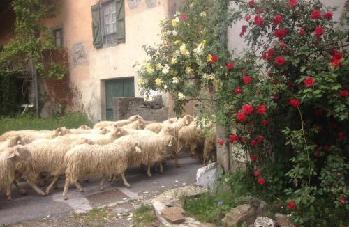 Laruns House | Gite Cap de la Hont