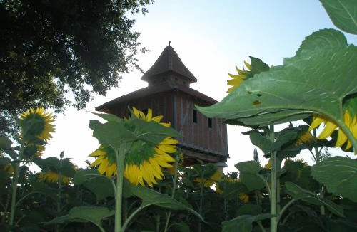 Monlezun Bed & Breakfast | Gite Chambre d'hôtes insolite PIGEONNIER IN MARCIAC Gers