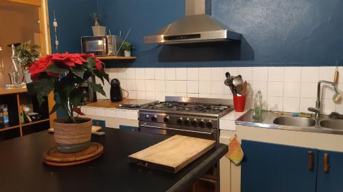 Osse-en-Aspe Hotel | Gite Chaneü