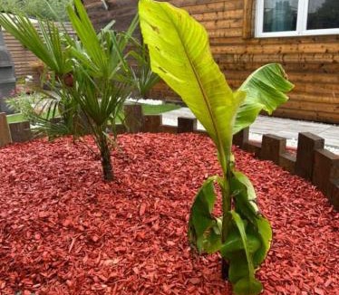 Houlle House | Gite Chez Tof et Ninie