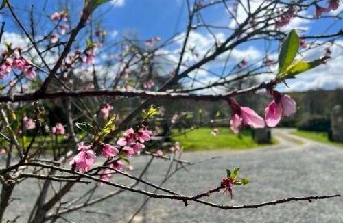 Torce-Viviers- en-Charnie House | Gite Clos Robin