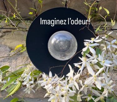 Pierrerue House | GITE COCOTTE
