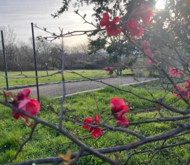 Pierrerue House | GITE COCOTTE LUBERON, FORCALQUIER