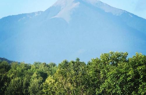 Estadens House | Gite colombe des bois