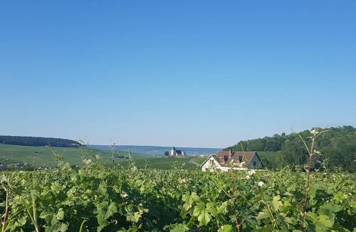 Damery Apartment | Gite Comme a la maison