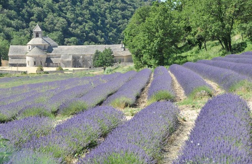 Saint-Didier House | Gîte currently unavailable