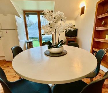 Vernou-sur-Brenne Apartment | GITE DANINOU; meublé 3 chambres avec terrasse (1er étage du château) , salon et cuisine ouverte