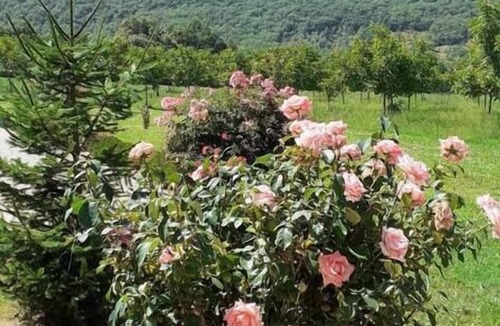 Creysse House | GITE DE CARMAN - CREYSSE