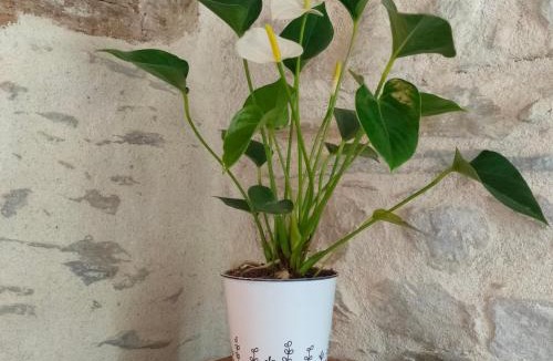 Guipry-Messac House | Gite de charme à Guipry Messac