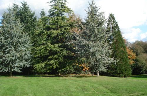 Berric House | Gite de Cohignac