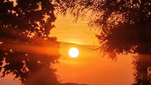 Saint-Aubin-de-Locquenay House | Gite de Lavardin